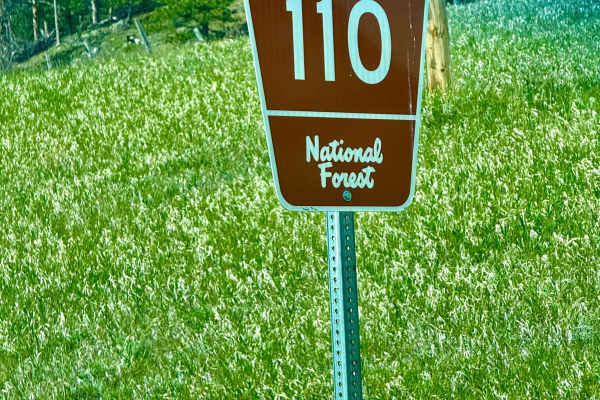 Deerfield Road North