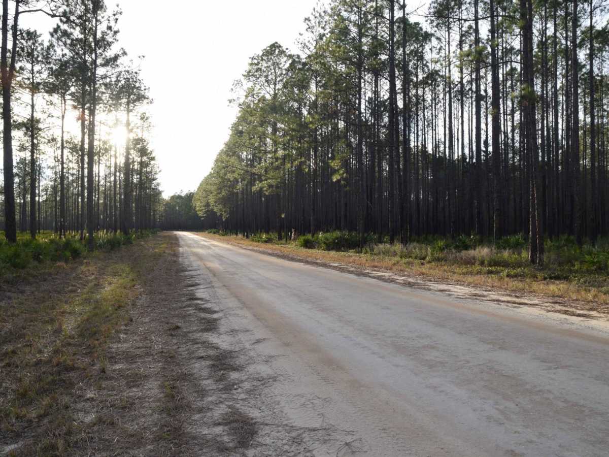 267 - Otter Camp (344) photo 2