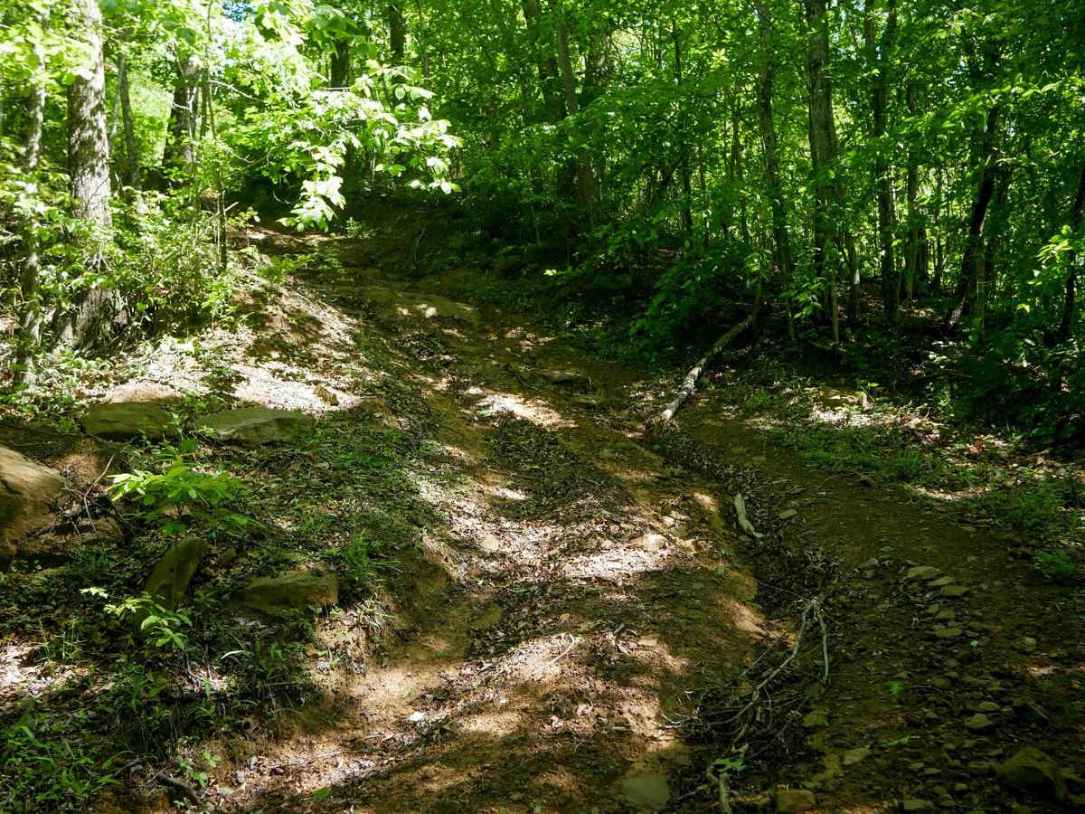 CC86 trail photo