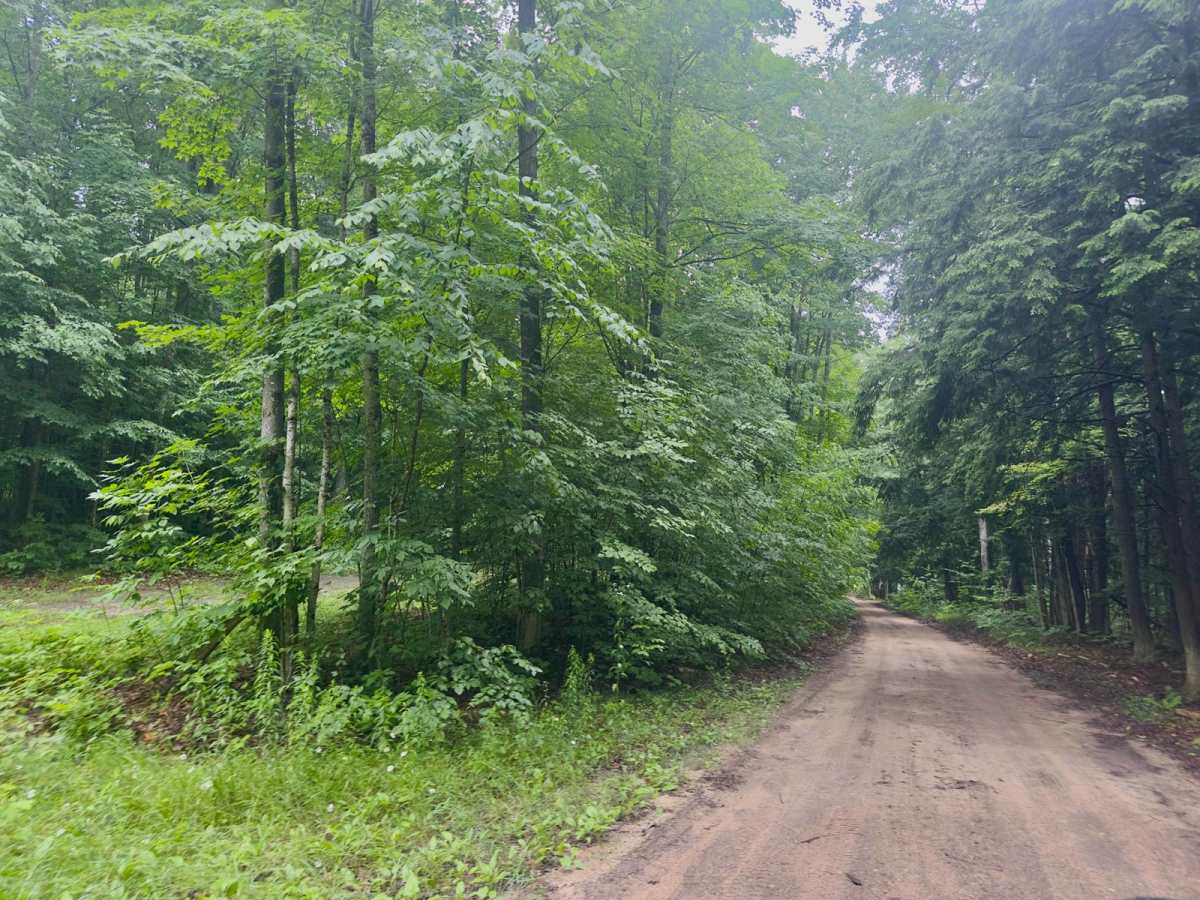 Cascade Road photo 6