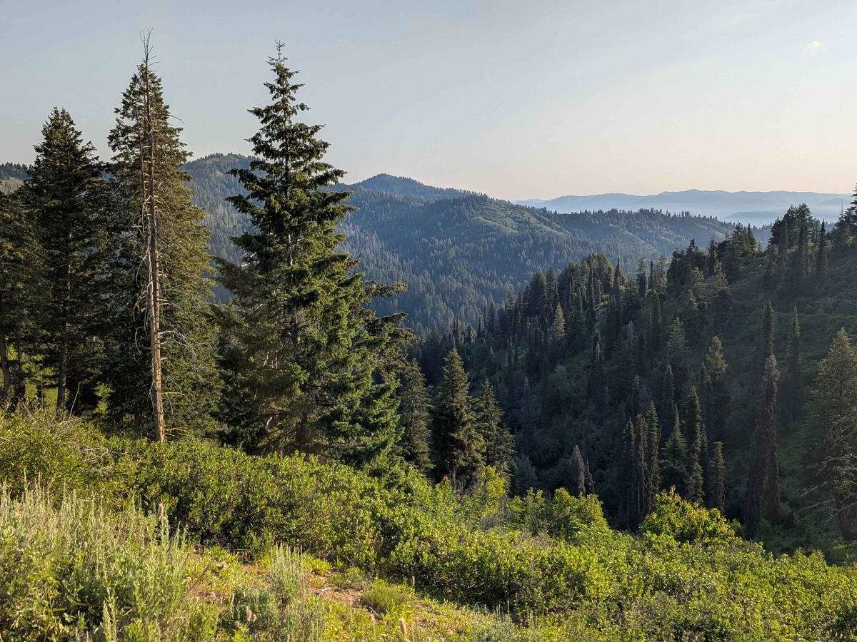 Road 374 - Southern Portion photo 6