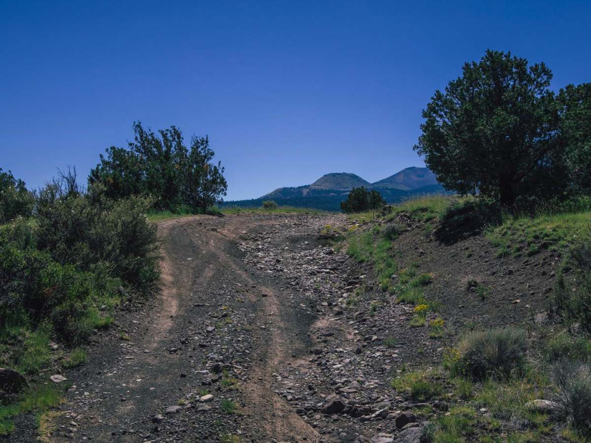 Reese Canyon photo 3