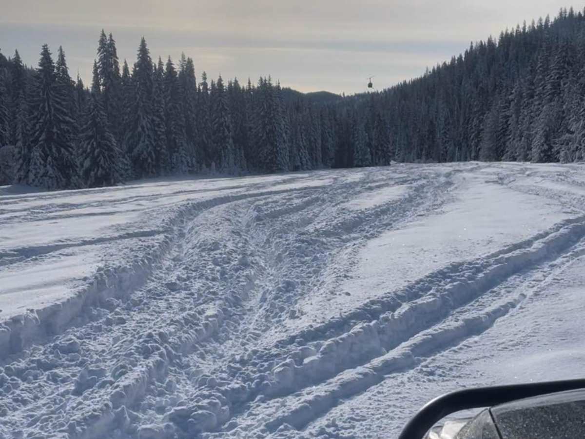 Horse Haven Airfield photo 2