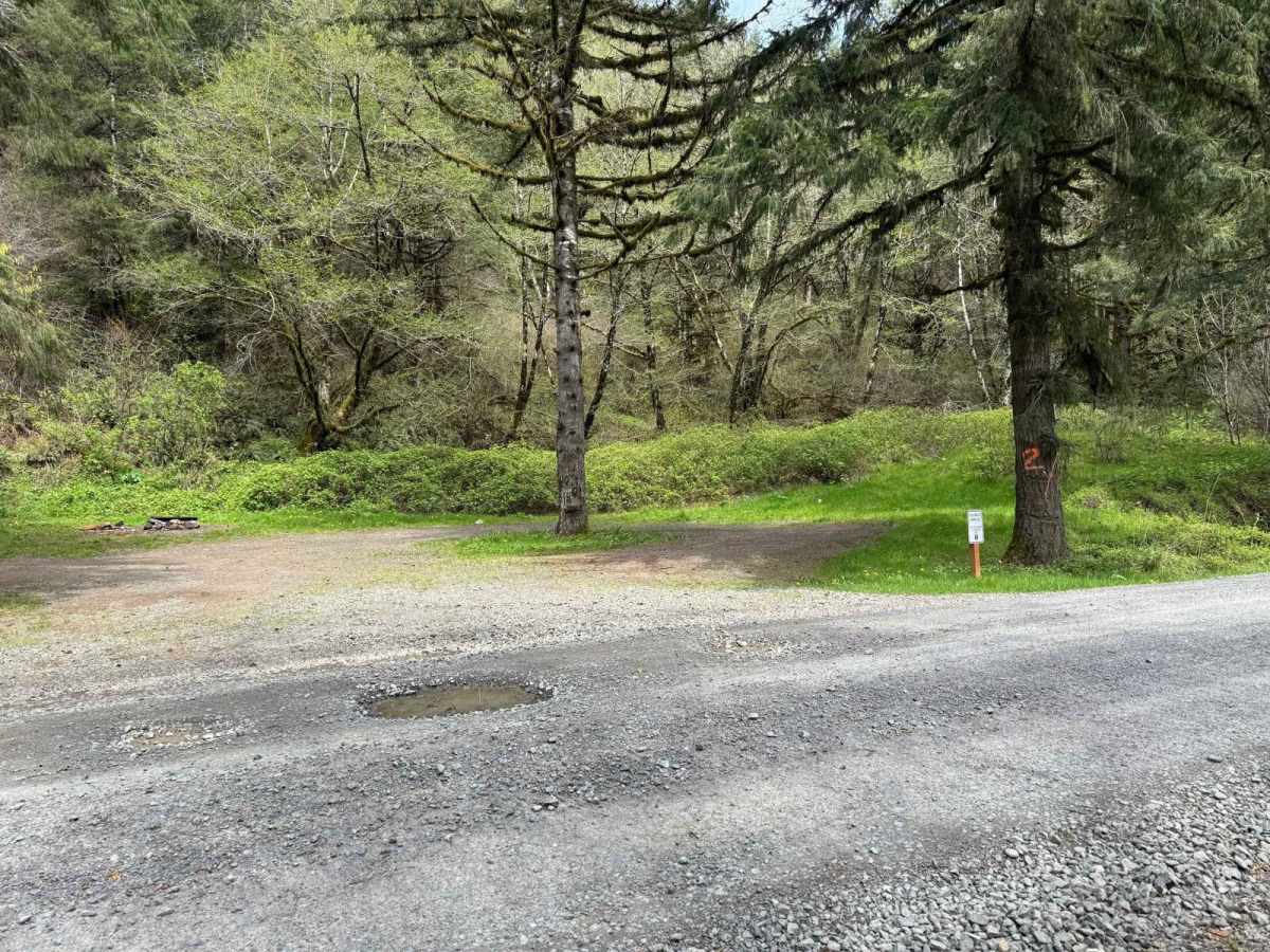 North Fork Trask River Road photo 4
