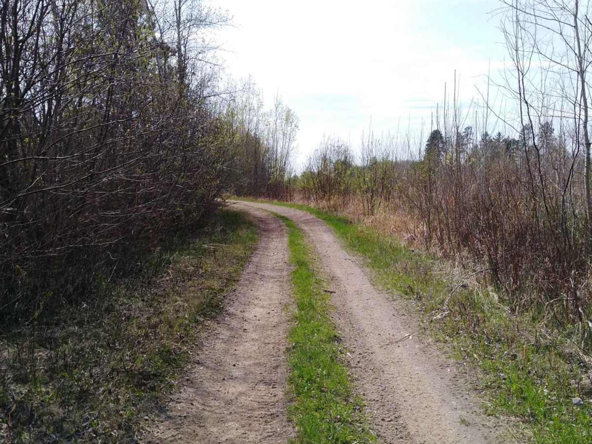 Ketchum Road Northwest to Cass Lake photo 6