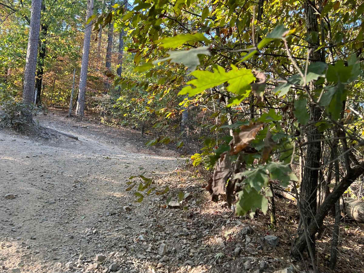 West Trailhead photo 5