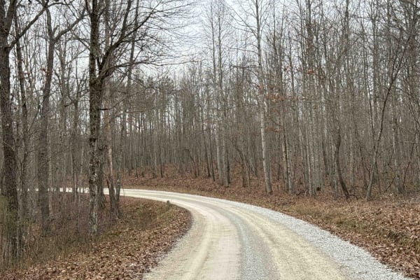 Lawrence Phillips Road to Carpenter Ridge (FSR 453)