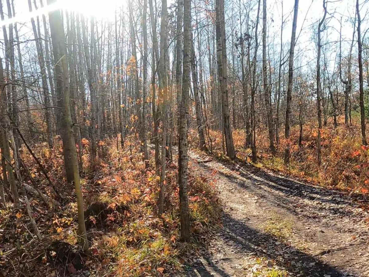 Twin Creek Twisty Trail photo 4