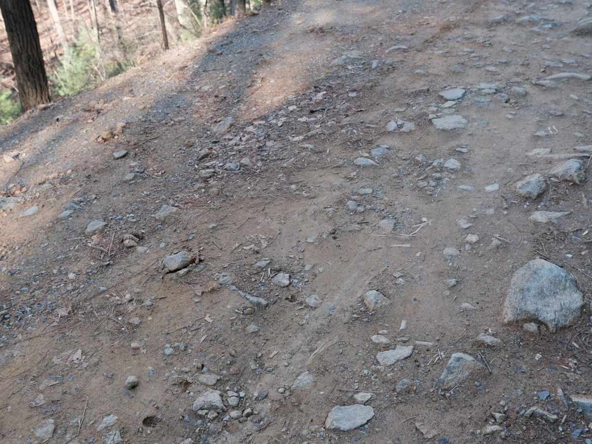 Shady Mountain Road photo 2