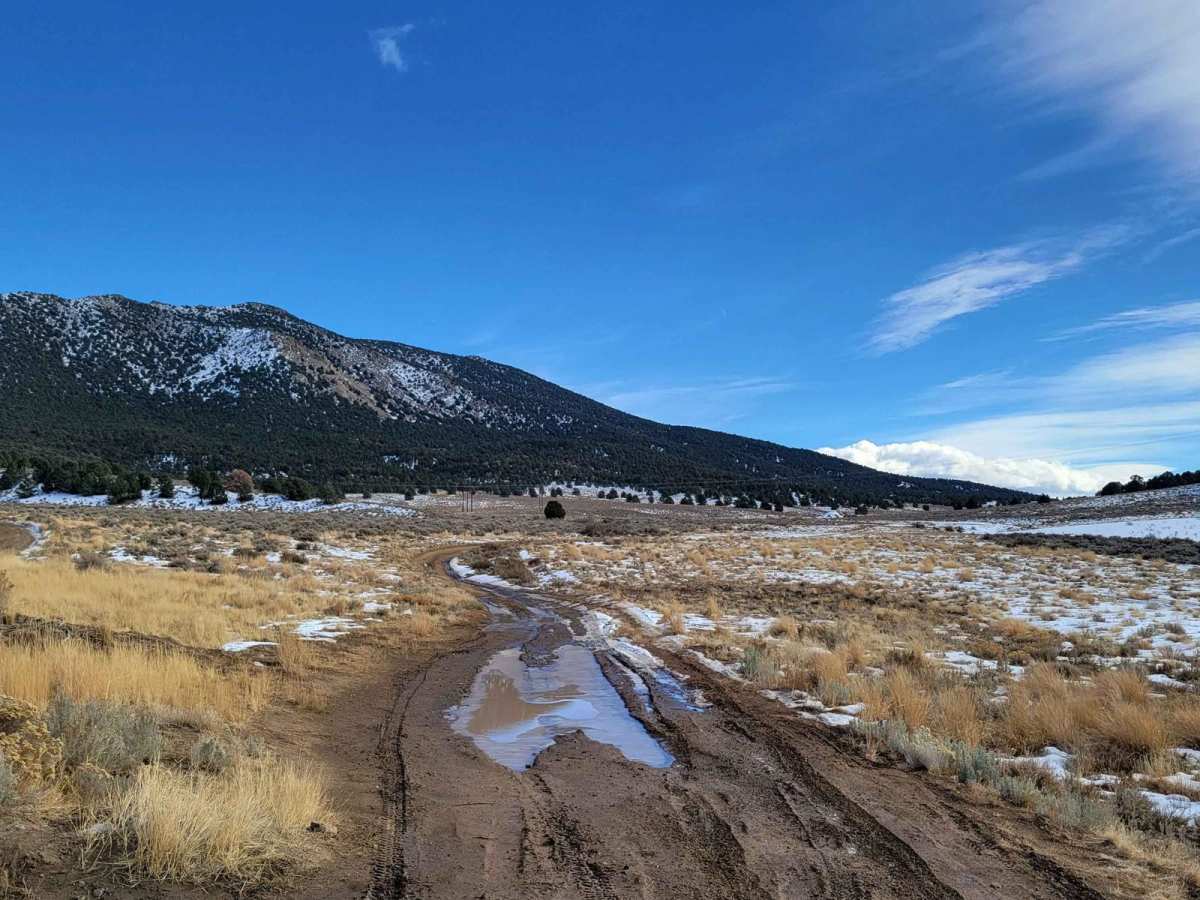 Big Buck Meadows Trail photo 2