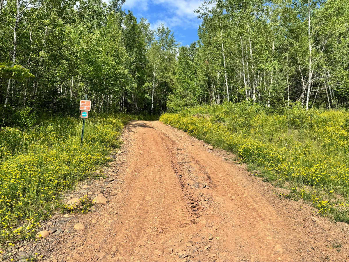 Fly Trap trail photo