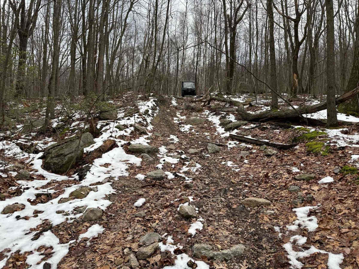 Ashland 183 photo 5