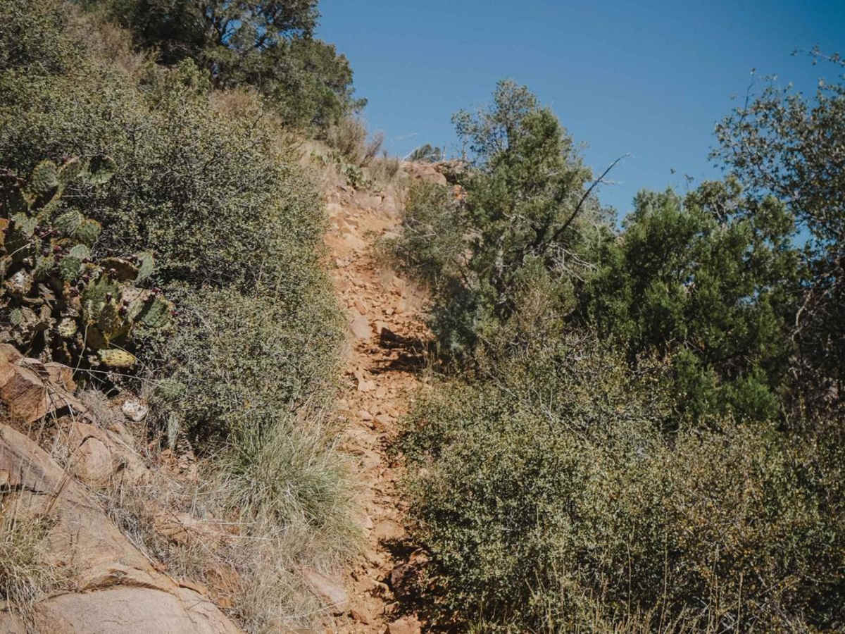 Red Mountain Trail photo 4
