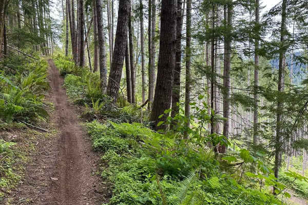 Kraus Ridge