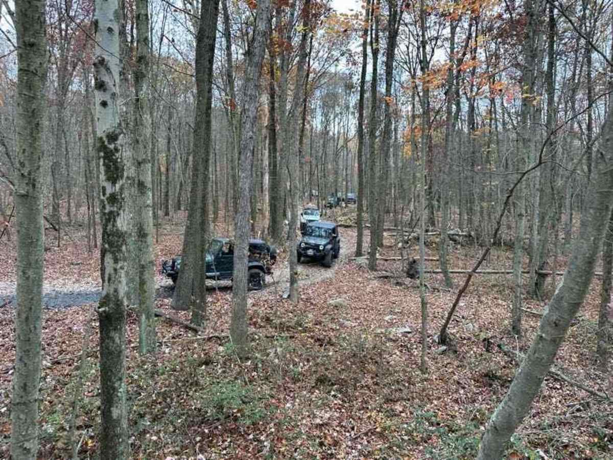 9 Green trail photo