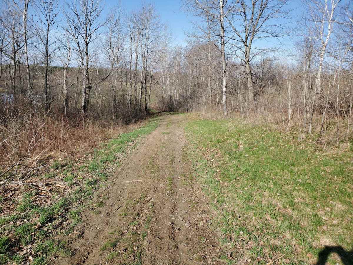 Quarry Road Trail photo 2
