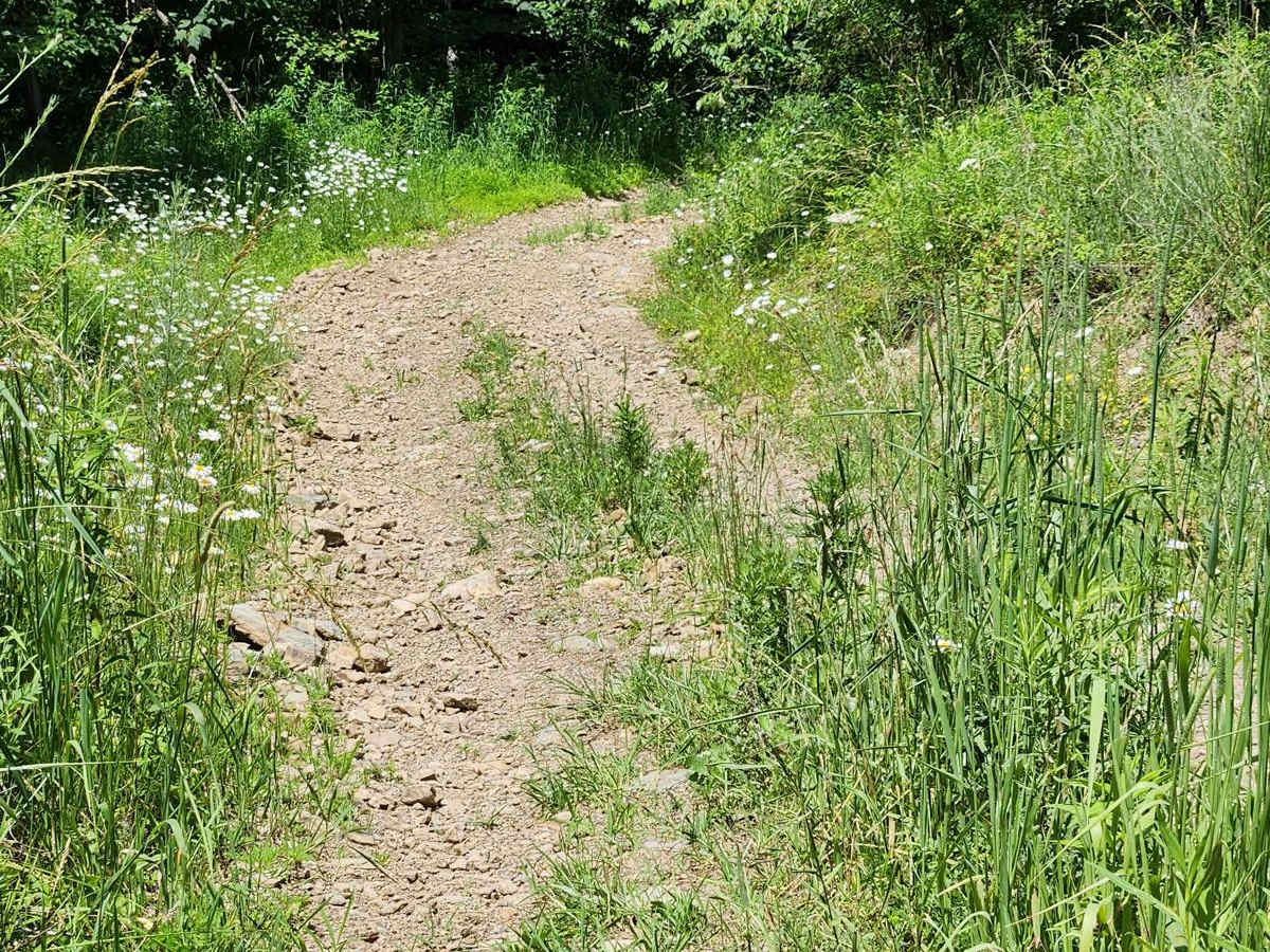 Trail 7A - Rock Run Recreation Area photo 6