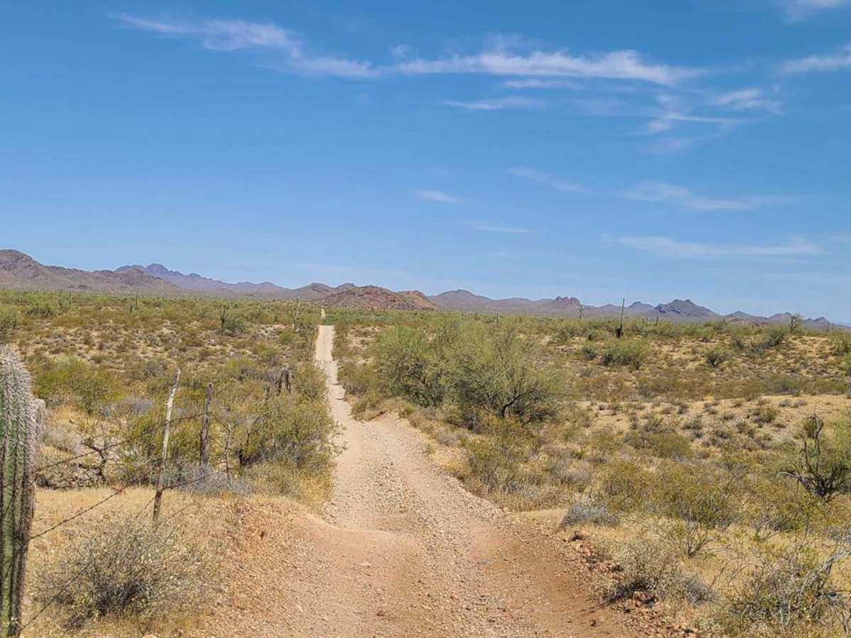 Black Mountain Road photo 5