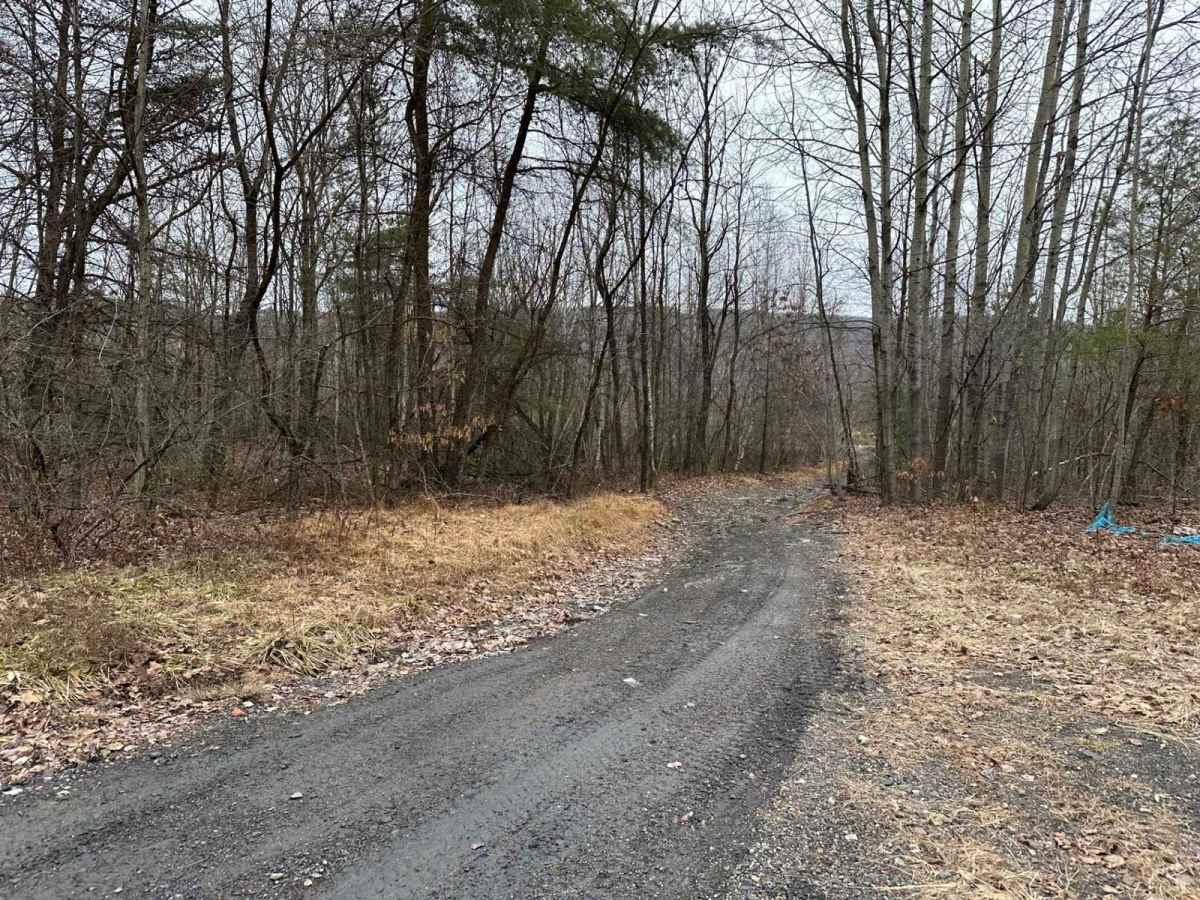 Locust Gap 28 photo 3