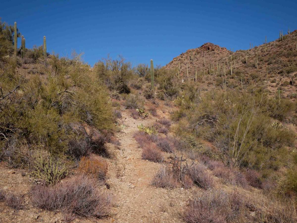 31063 trail photo