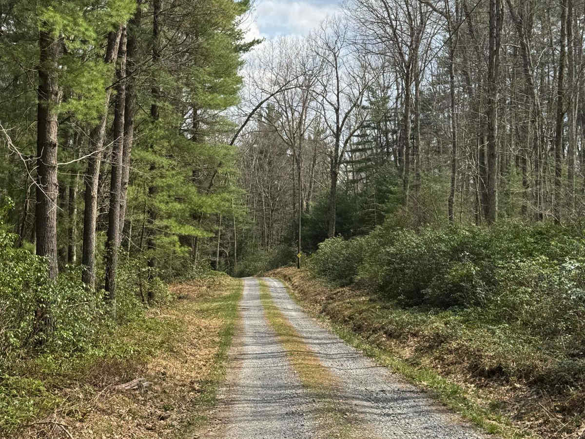 Boyer Mill Road photo 6