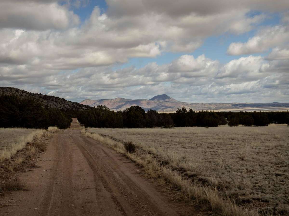 FR 731 trail photo
