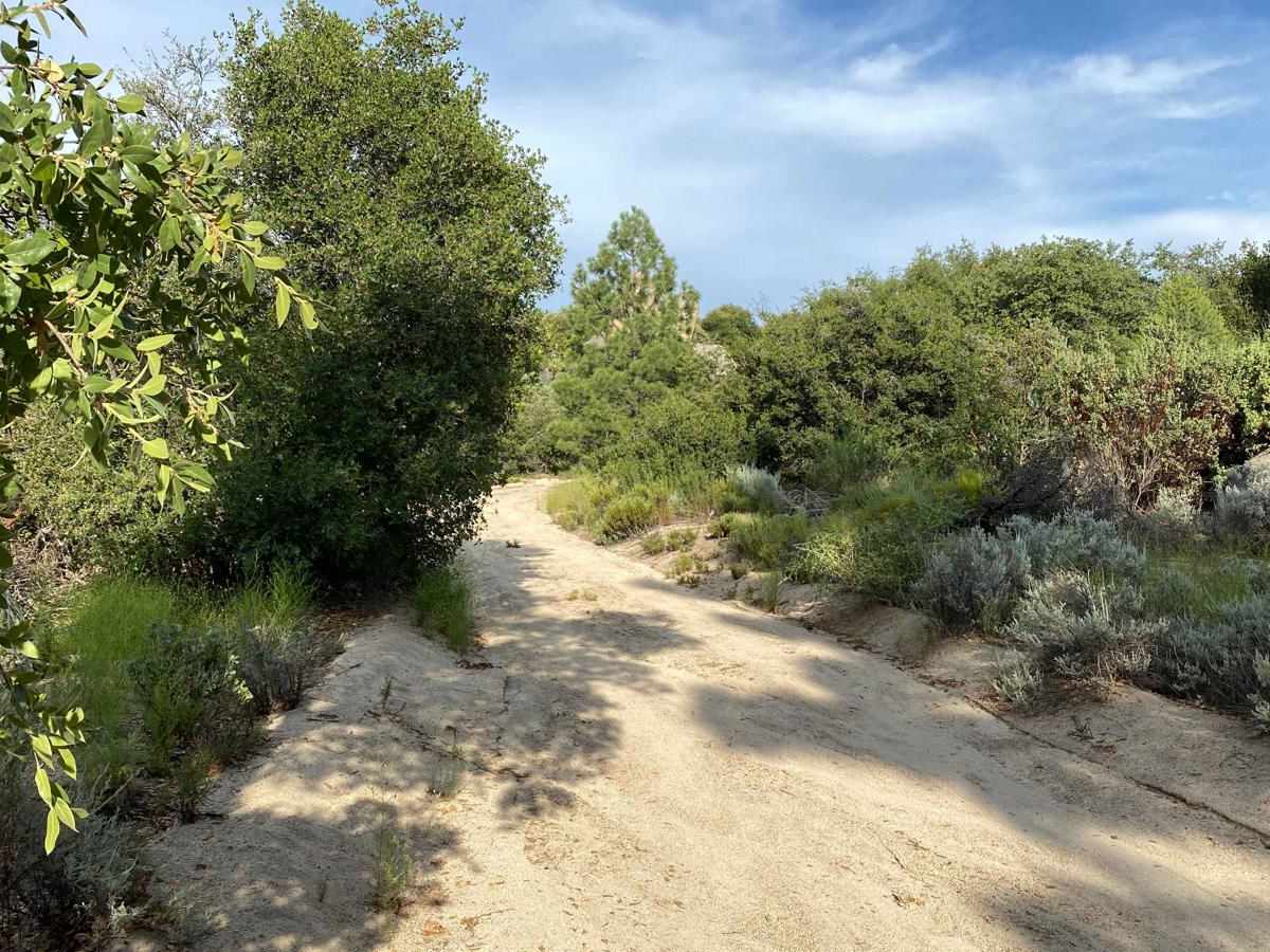 Road to Rancho Botella photo 6