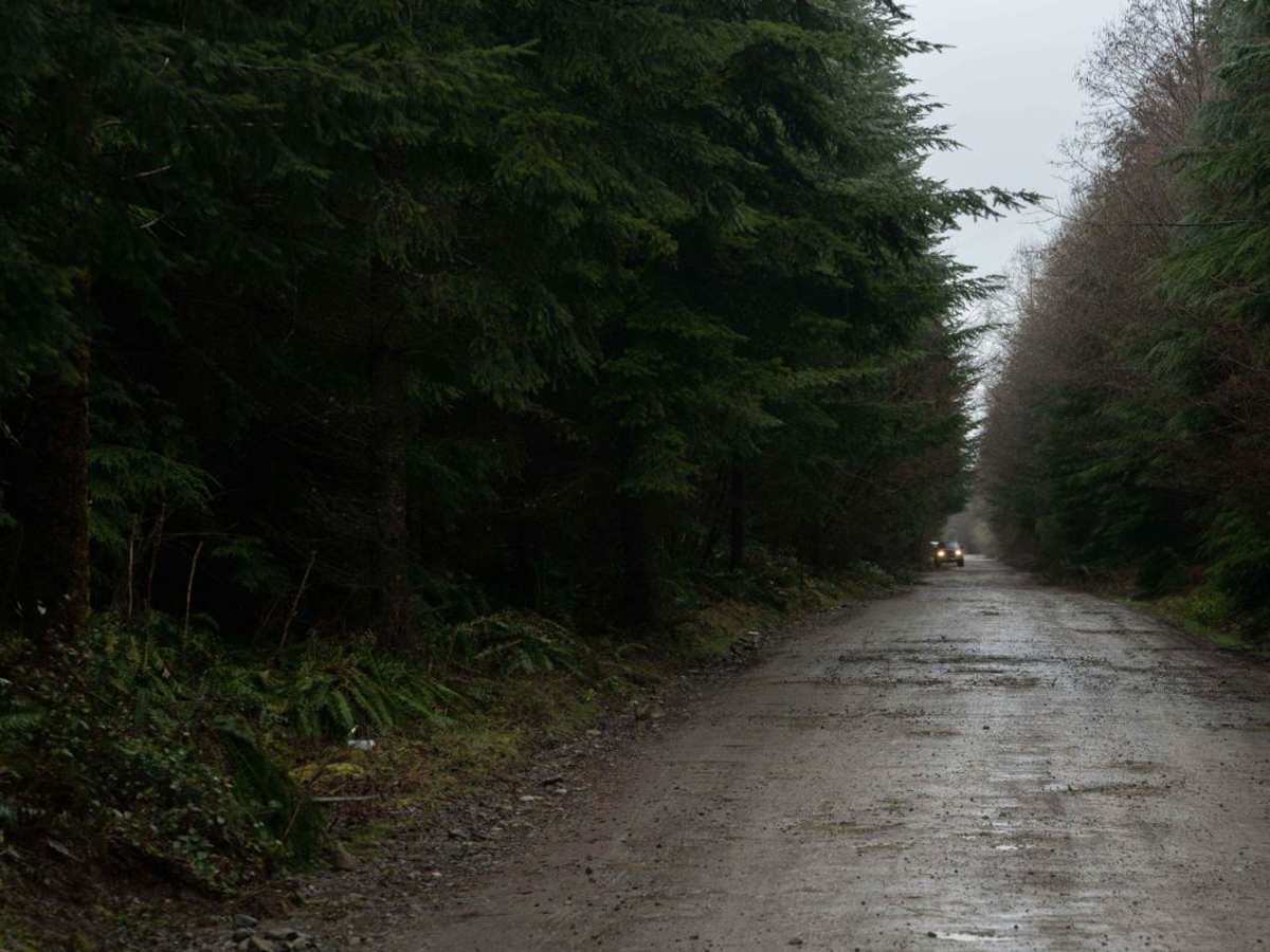 FR- 716021 trail photo