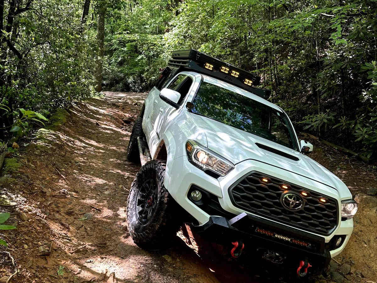 Nimblewill Road trail photo