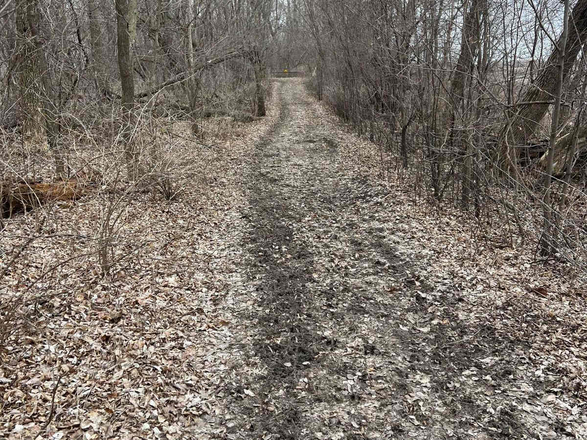 Meeker County OHV Park Outer Loop photo 5