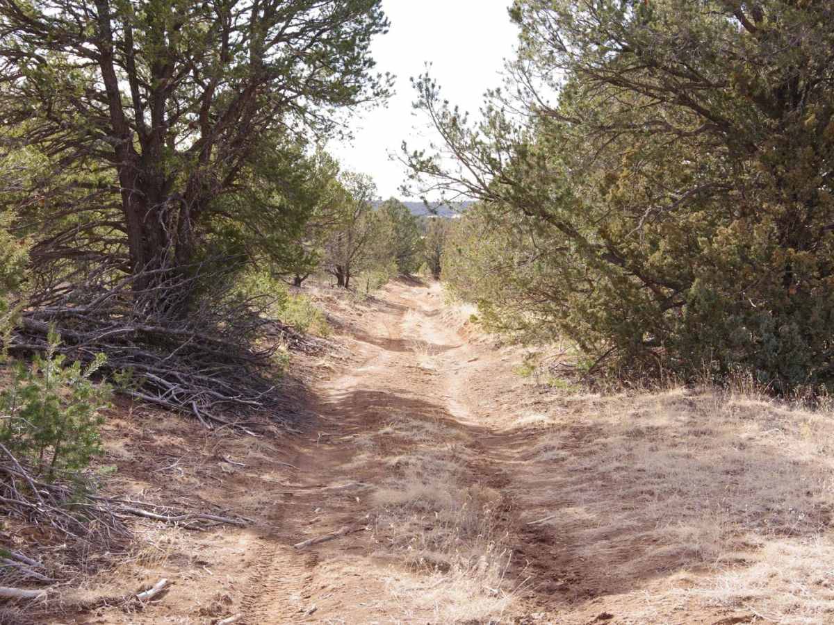 Rowe Mesa Loop photo 3