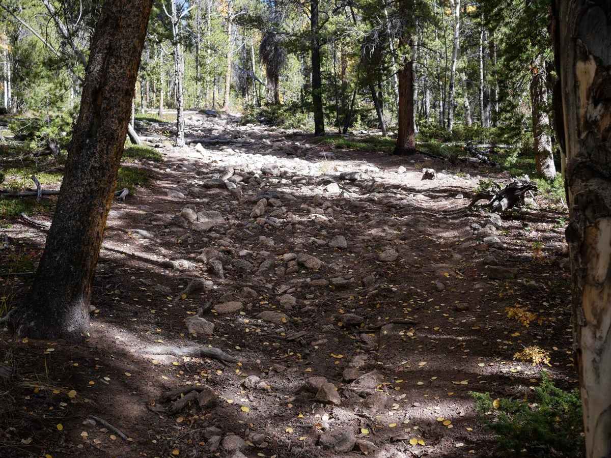 Middle Barrett ATV Trail photo 2