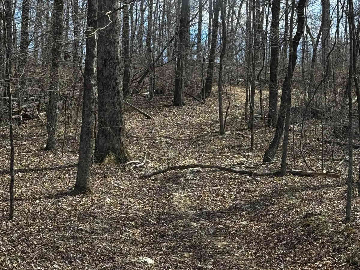 Pussy Foot trail photo