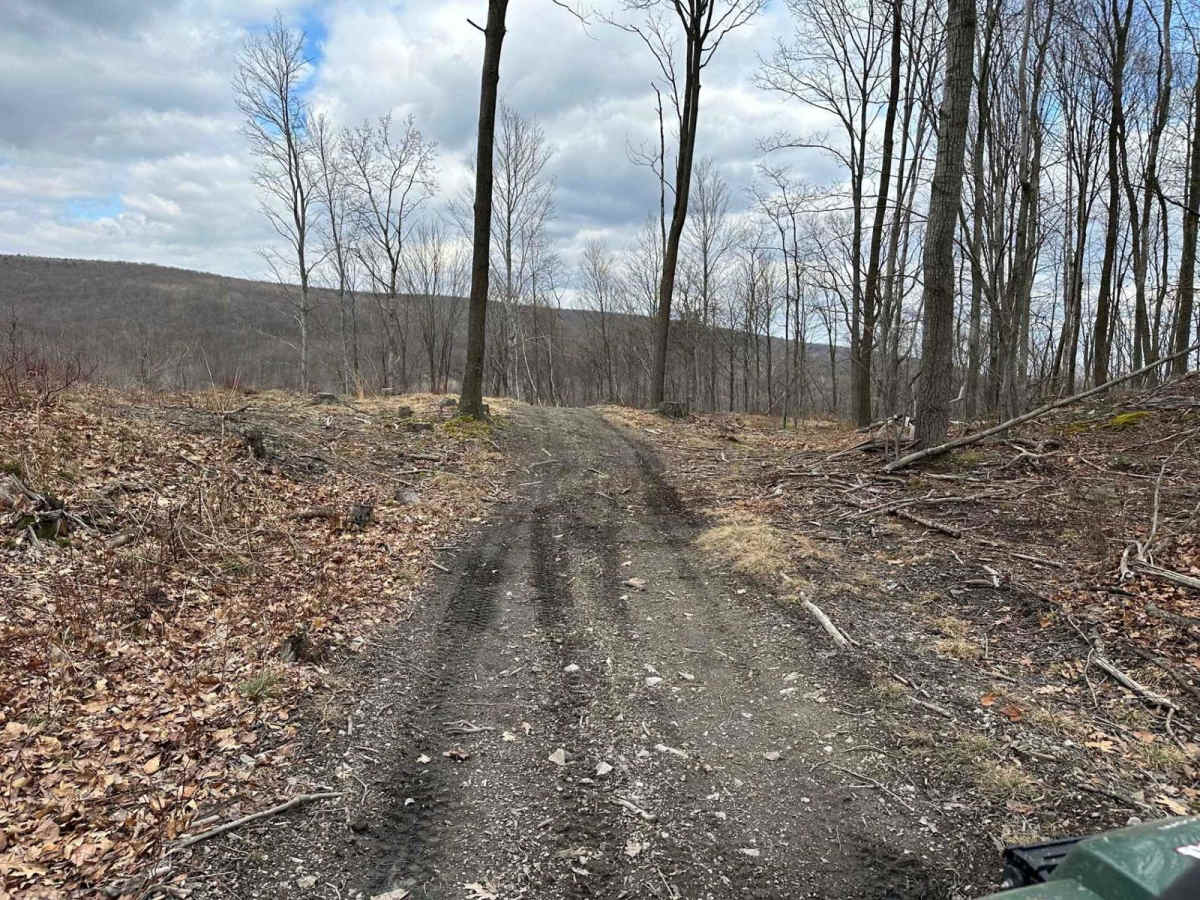 Ashland 62 Inner Loop trail photo