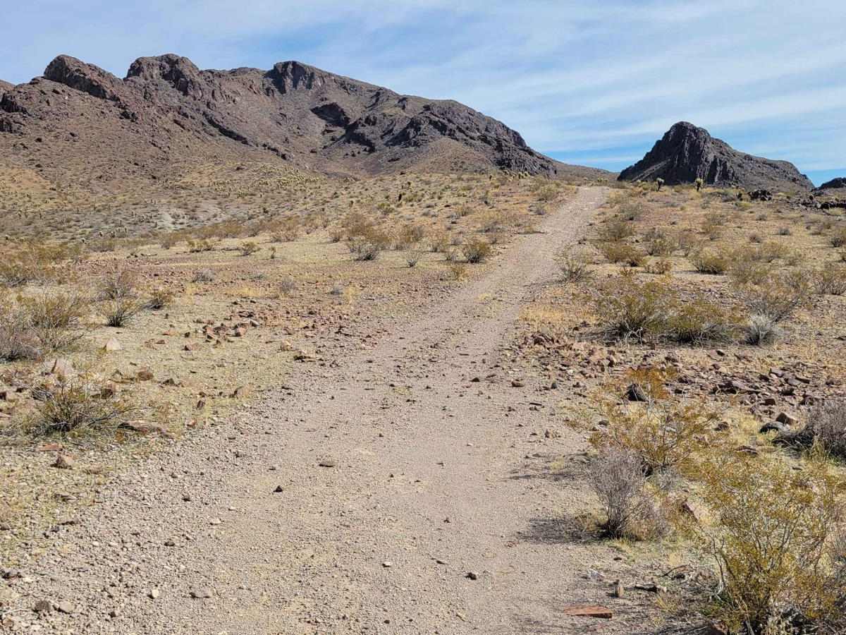 Lone Mine Trail photo 4