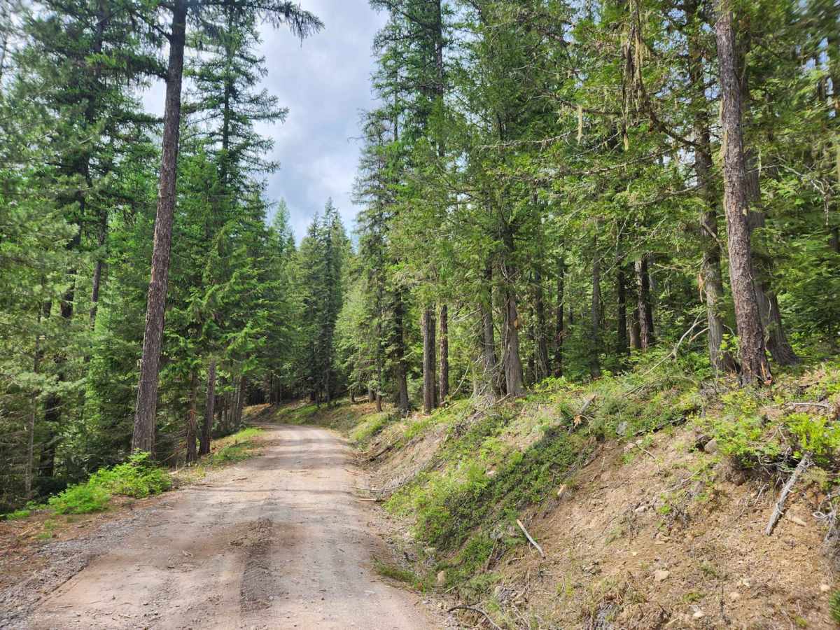 Spar Lake Road photo 3