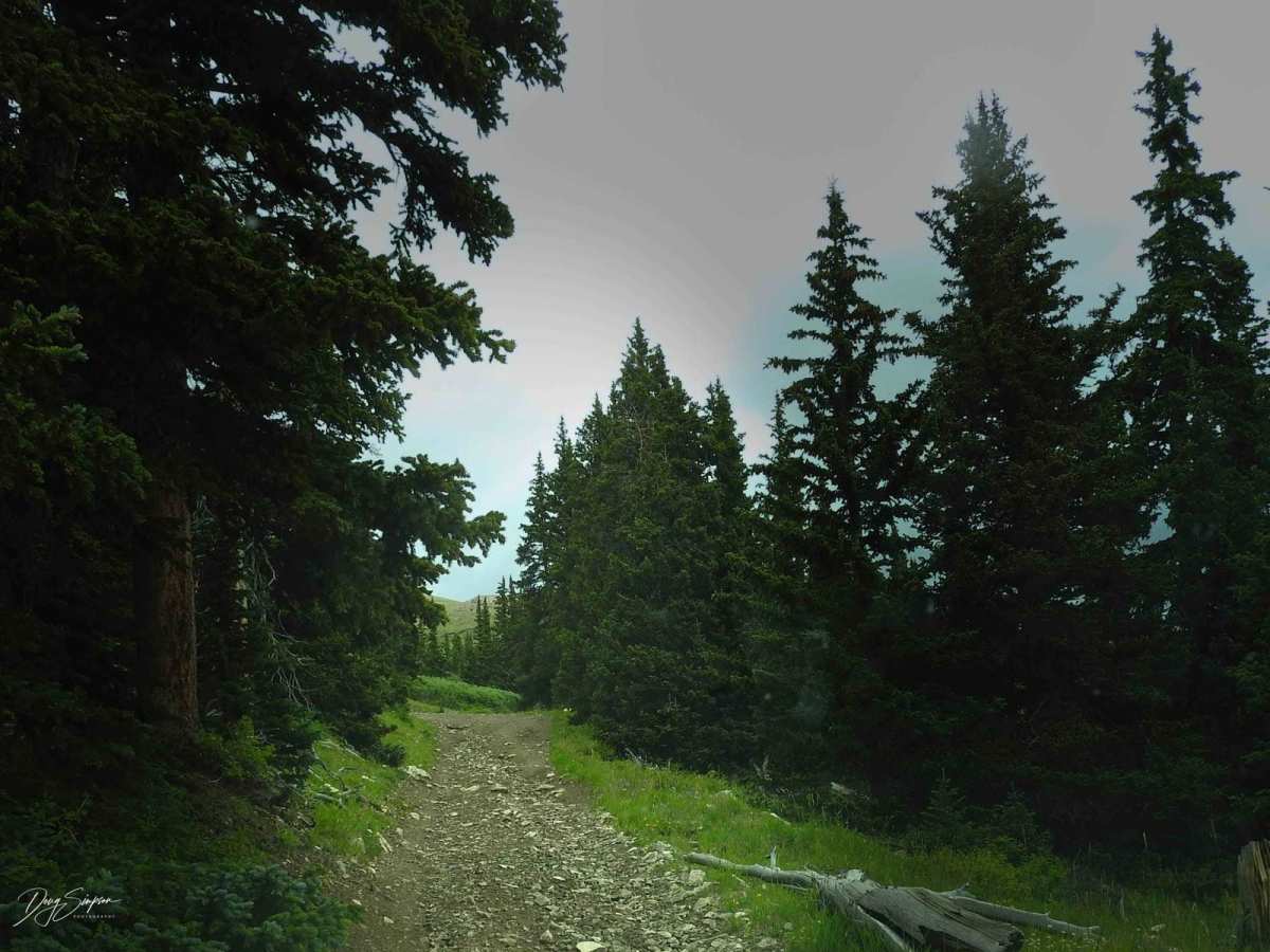 Switchback/ Privateer Road photo 4