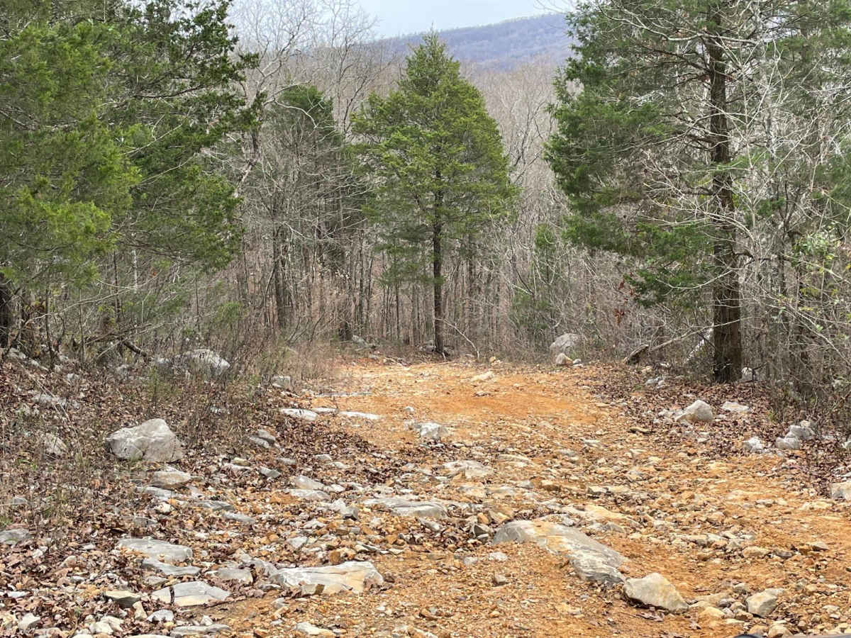 Evan's Ridge trail photo