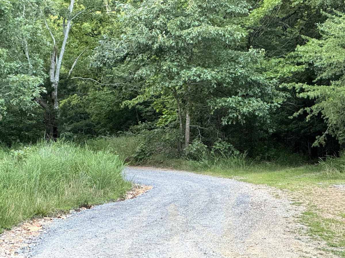 Lake Barkley Road photo 3