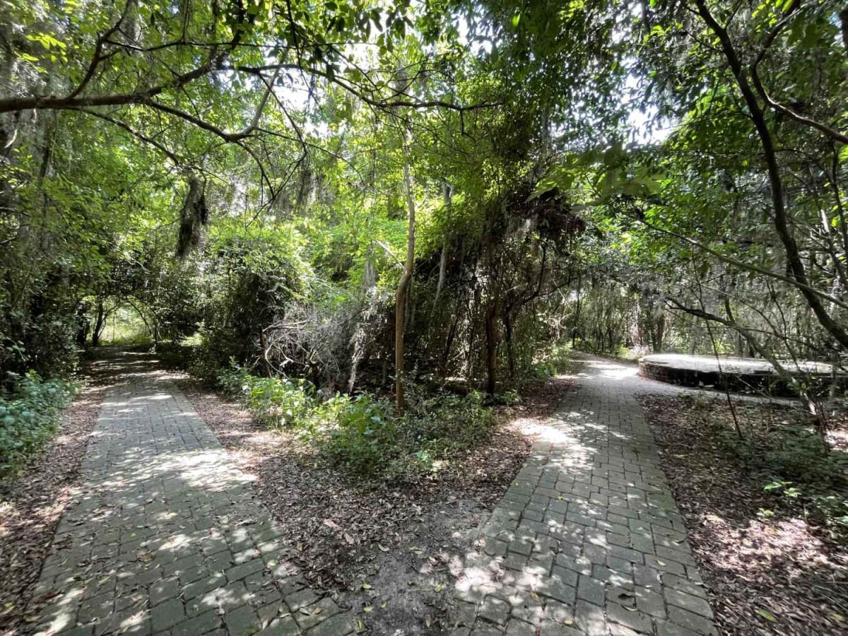 Savannah National Wildlife Refuge Scenic Drive photo 6