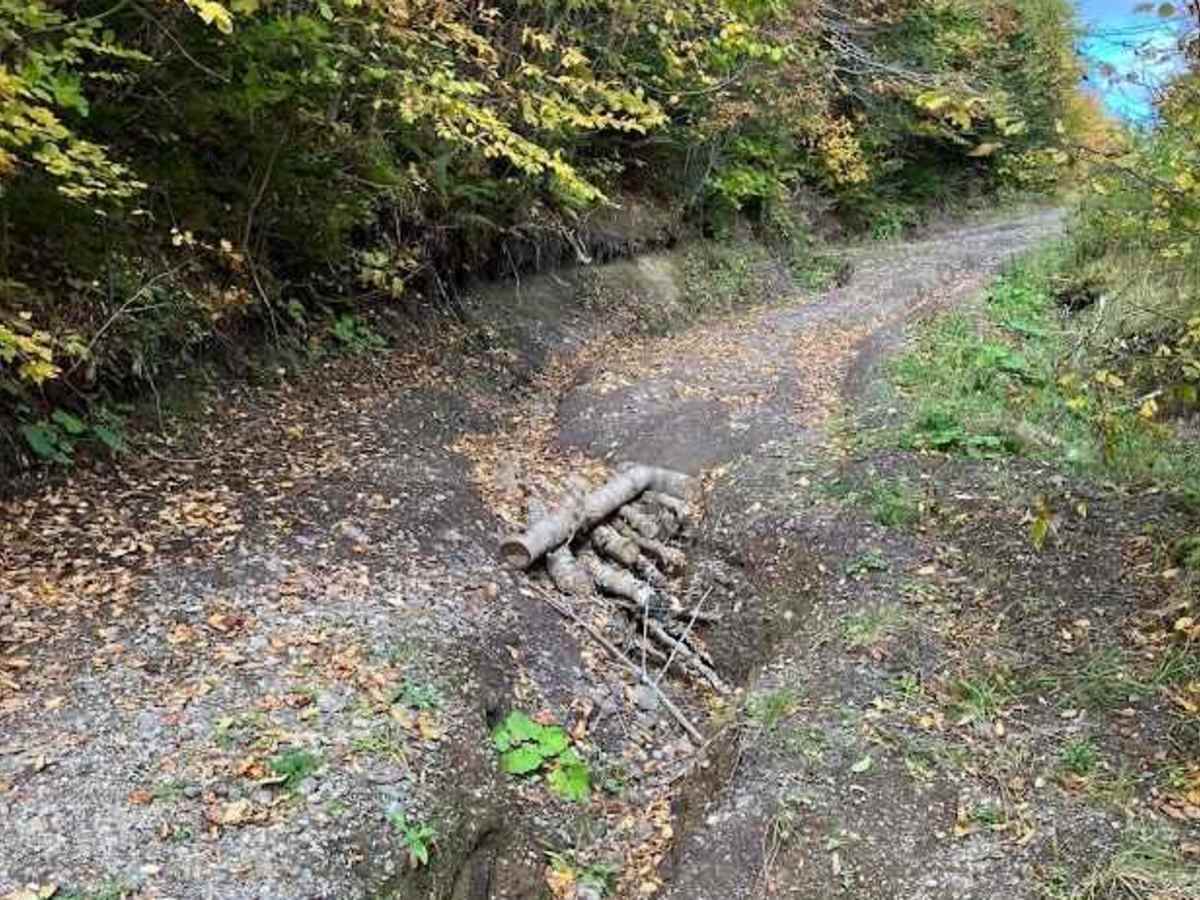 MacDonald's Glen Road photo 3