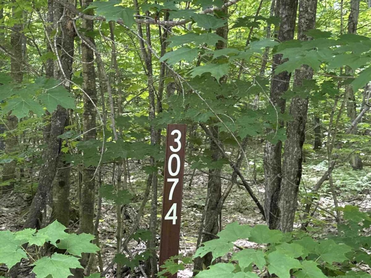 FS 3074 trail photo
