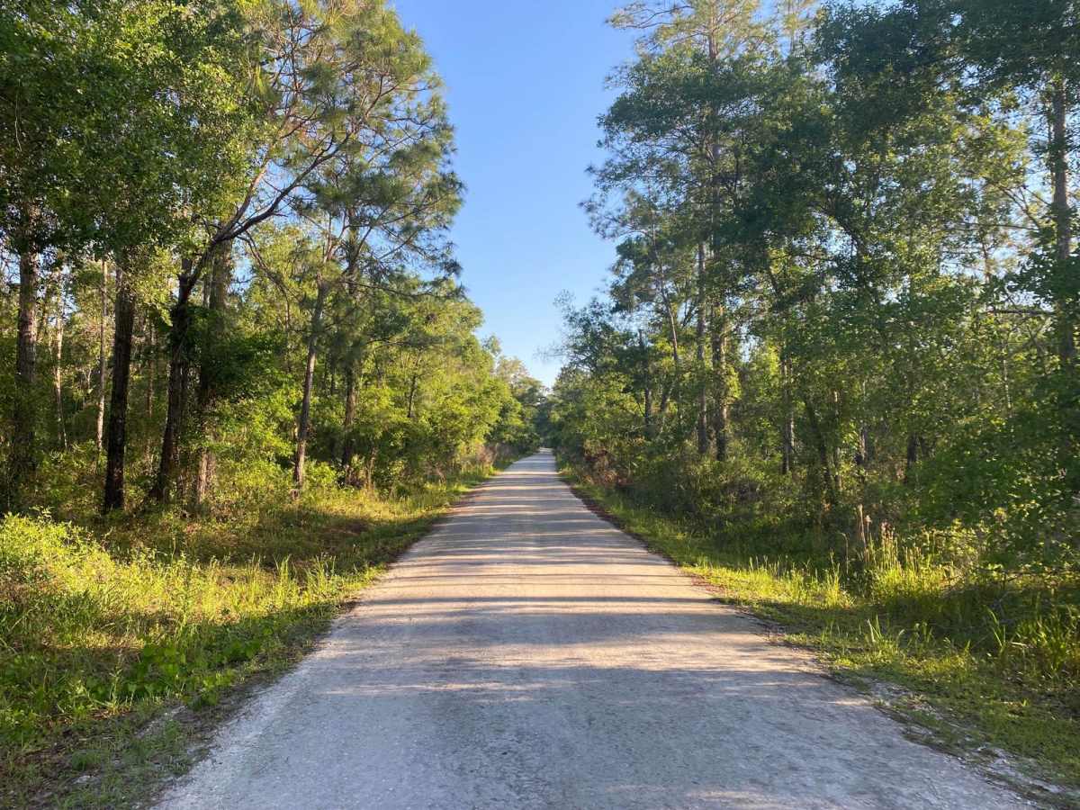 McKinney Sink Road photo 5