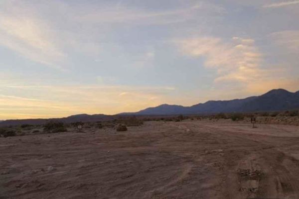 Palo Verde Wash