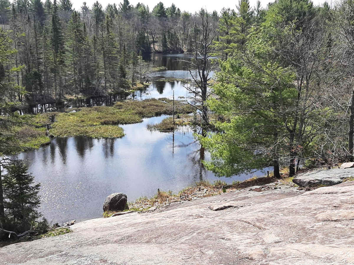 Pencil Lake photo 4