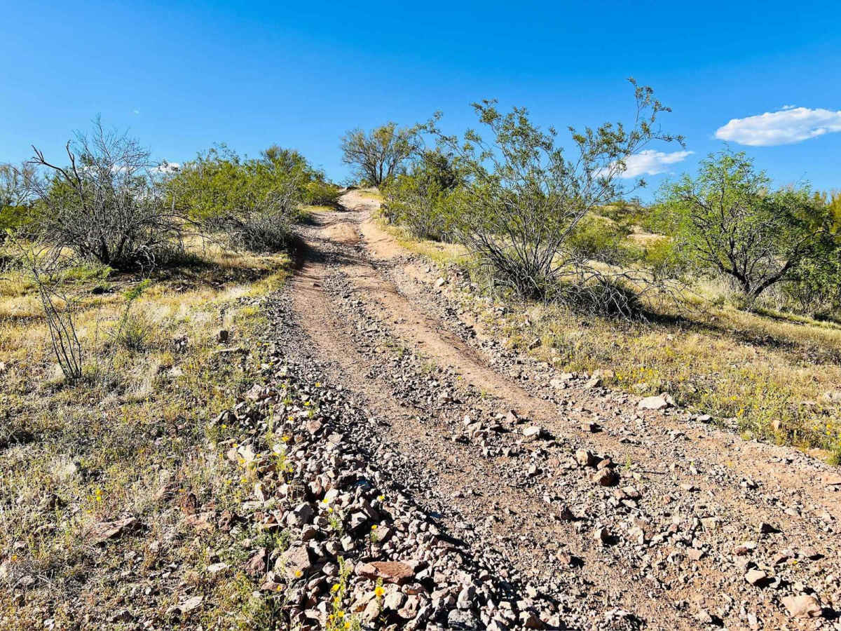 South Mariposa to Turtleback photo 6