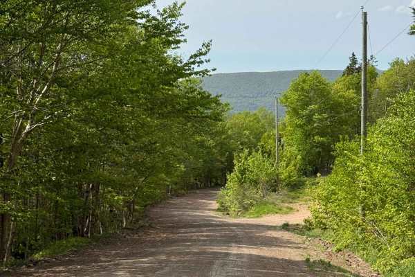 Fielding Road