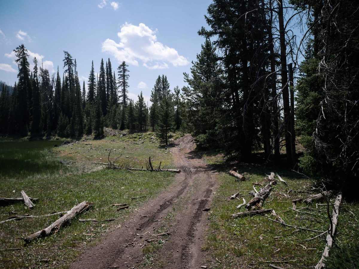 Beef Pasture ATV photo 5