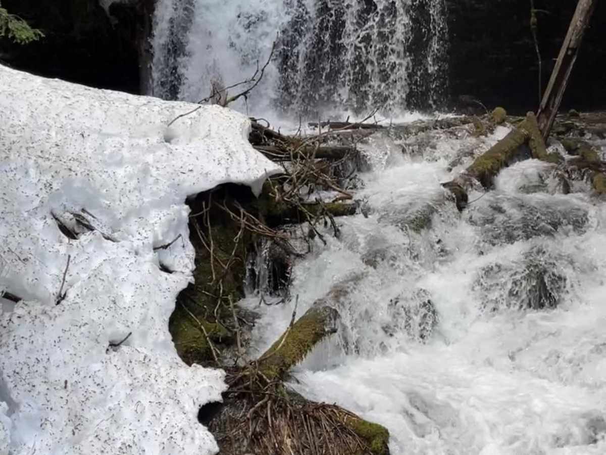 Fern Falls trail photo