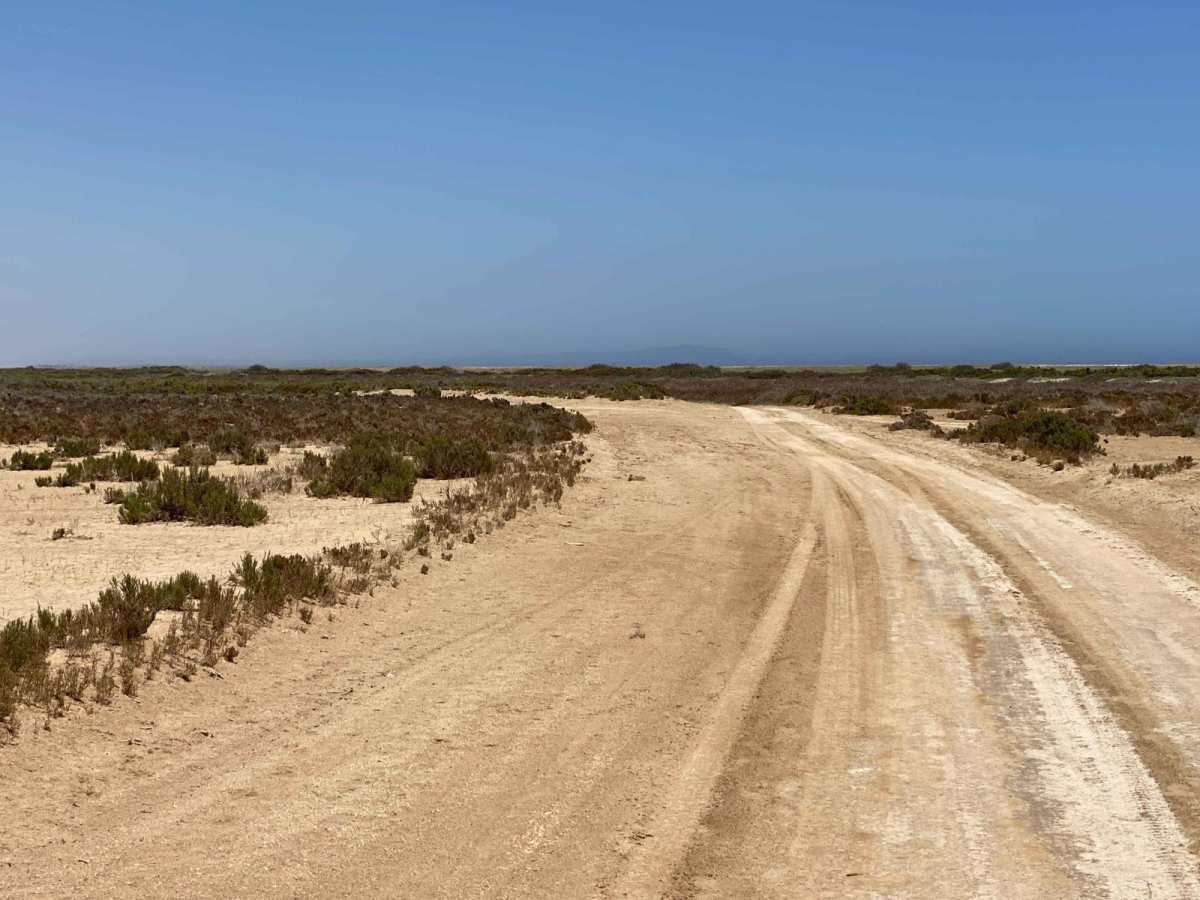 Coastal Route Bahia Asuncion to Punta Prieta photo 3